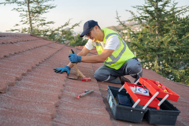 Best Roof Gutter Cleaning  in North Eagle Butte, SD
